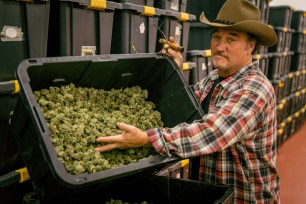 Jim Belushi in "Growing Belushi." He's showing off a plastic bin filled with cannabis plants and wearing a beige cowboy hat.