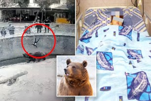 Footage of drop; Child in hospital; Bear.