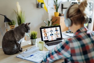 Portrait of modern woman at home teleconferencing with colleagues while cuddling her cat