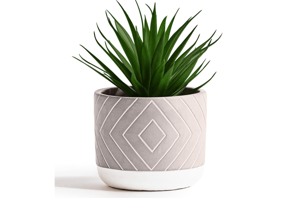 Gray and white vase with succulent