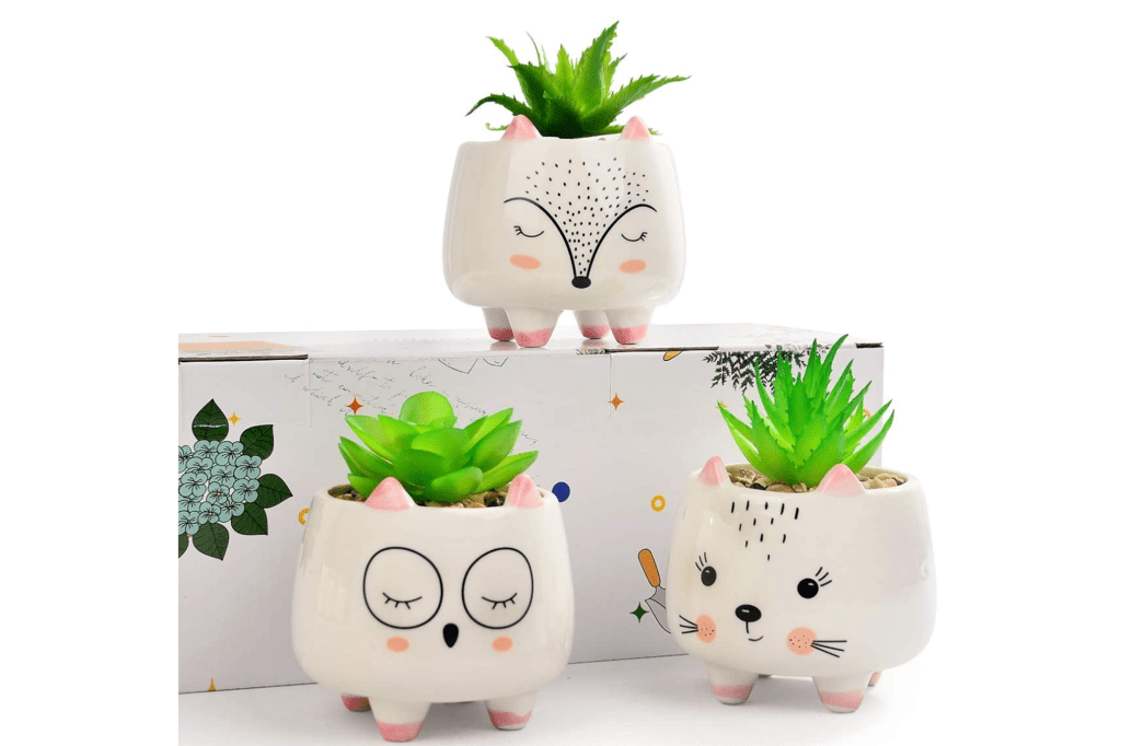 Cute ceramic succulents with faces on the pots