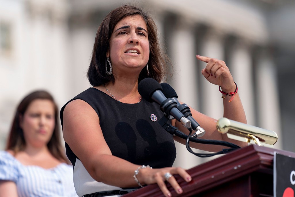 Rep. Nicole Malliotakis' district was redrawn to include new precincts in Brooklyn.