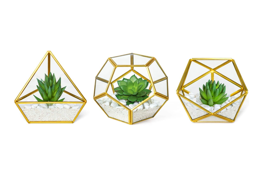 Gold trim plant holders with succulents