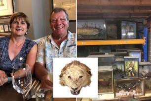 UK widow Julie Gittoes was taken aback after discovering her late husband's secret stash of taxidermied critters, which he'd been amassing for 30 years under her nose.