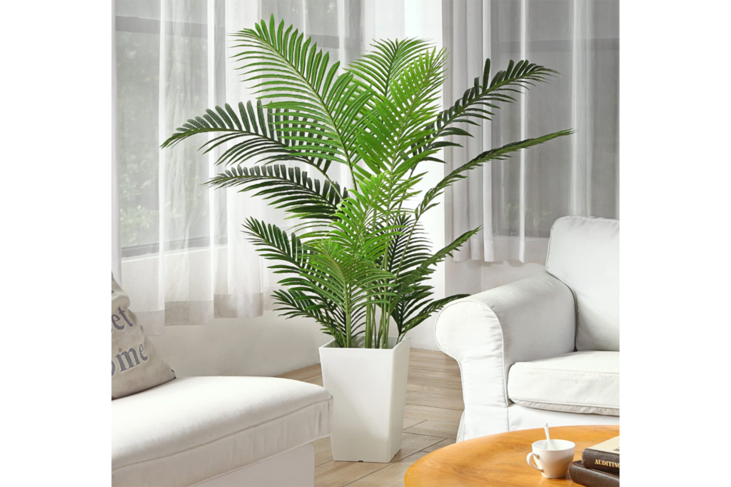 Tall palm tree in white base