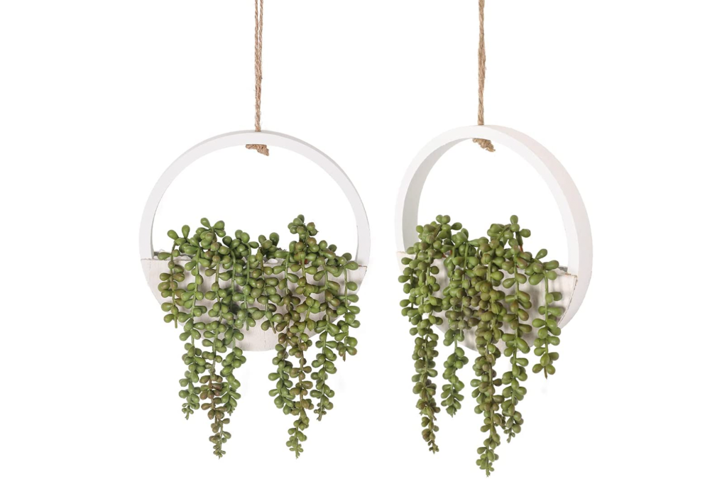Two hanging succulent plants in wood hangers