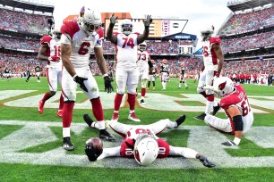 DeAndre Hopkins #10 of the Arizona Cardinals celebrates a touchdown with teammates during the third quarter against the Cleveland Browns.