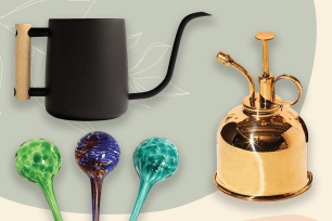 Gold mister, black watering can and hand blown glass watering globes