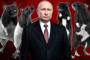 Growing up in Leningrad, Putin fended off rats with a stick in his apartment building, and never forgot how one fought back fiercely when forced into a corner. He vowed to do the same in any conflict: "There is no retreat."