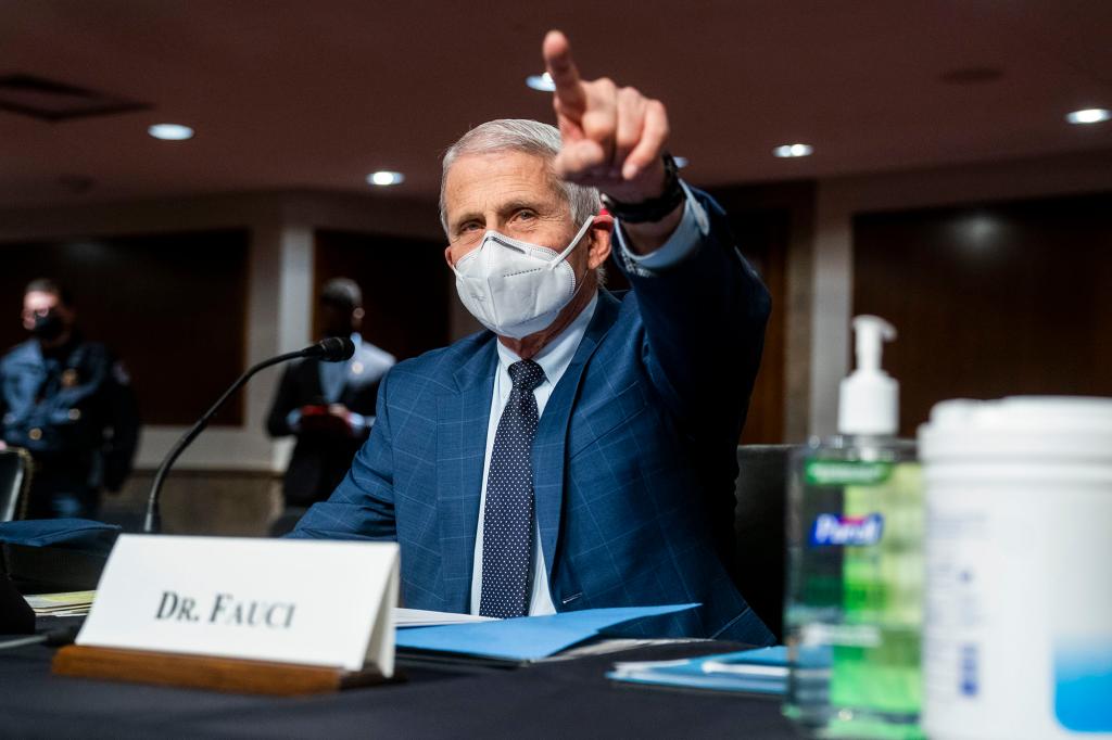 Dr. Anthony Fauci, director of the National Institute of Allergy and Infectious Diseases and chief medical adviser to the President, prepares to testify before the Senate Health, Education, Labor and Pensions Committee on January 11, 2022 in Washington, DC.