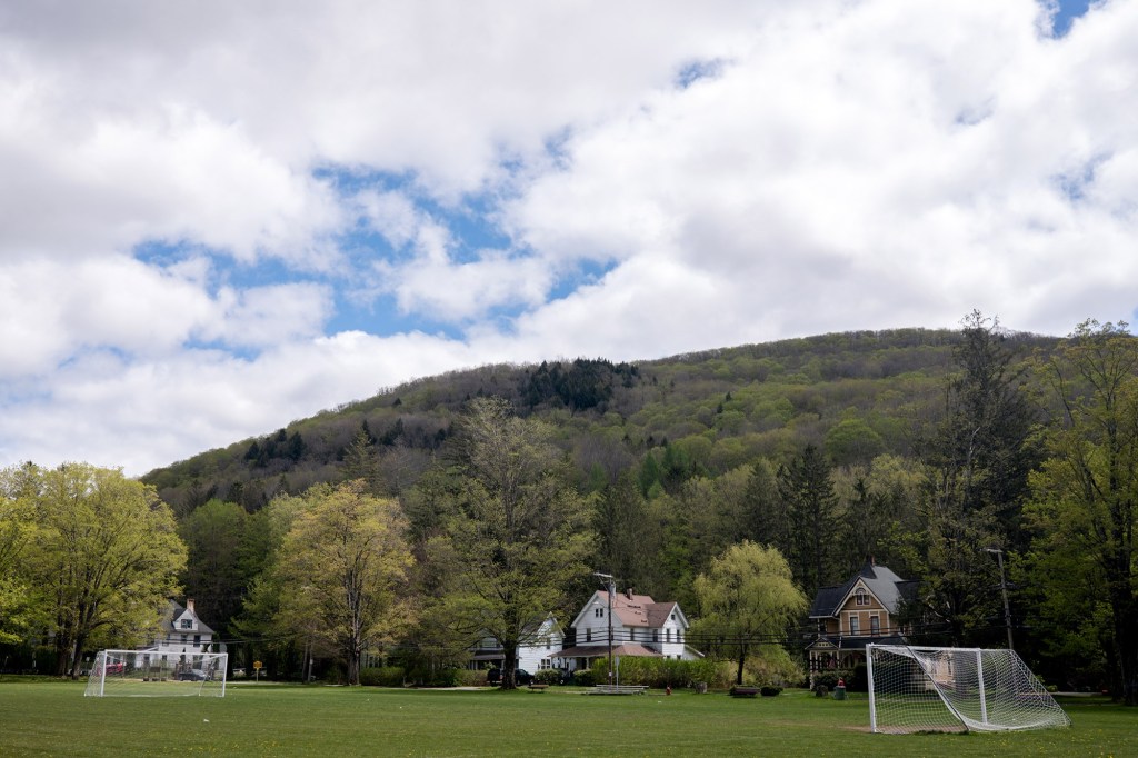 A park with mountains in the background.