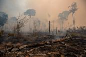 Fire consumes land deforested by cattle farmers near Novo Progresso, Para state, Brazil, Sunday, Aug. 23, 2020.