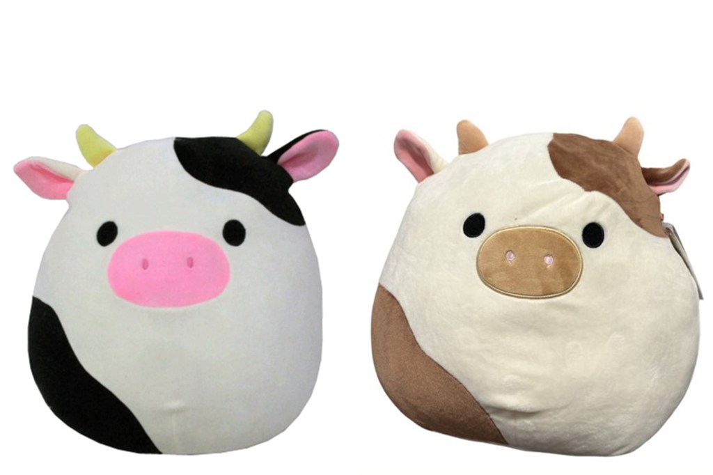 A black and a brown cow Squishmallow 