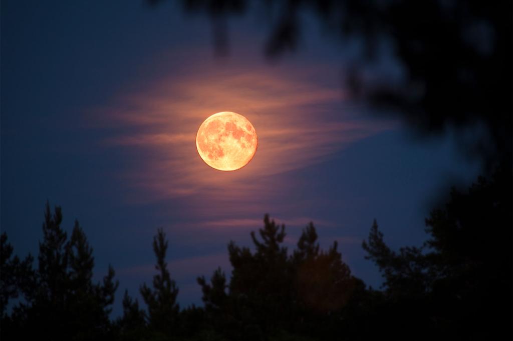 A Strawberry Moon