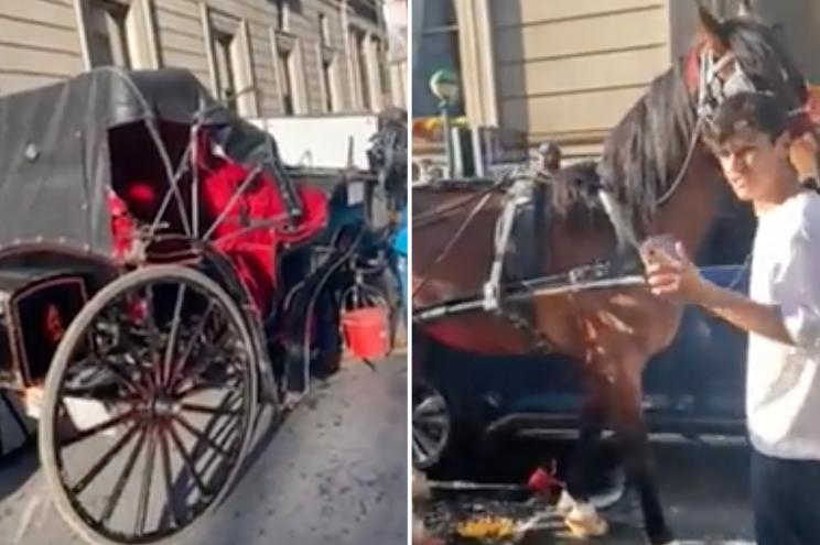 A Central Park carriage horse went into oncoming traffic and got wedged between two cars on June 15, 2022.