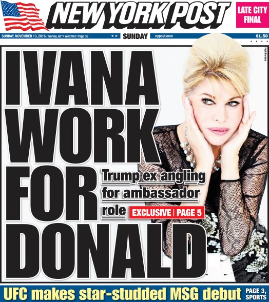 Front page NY Post for November 13, 2016.