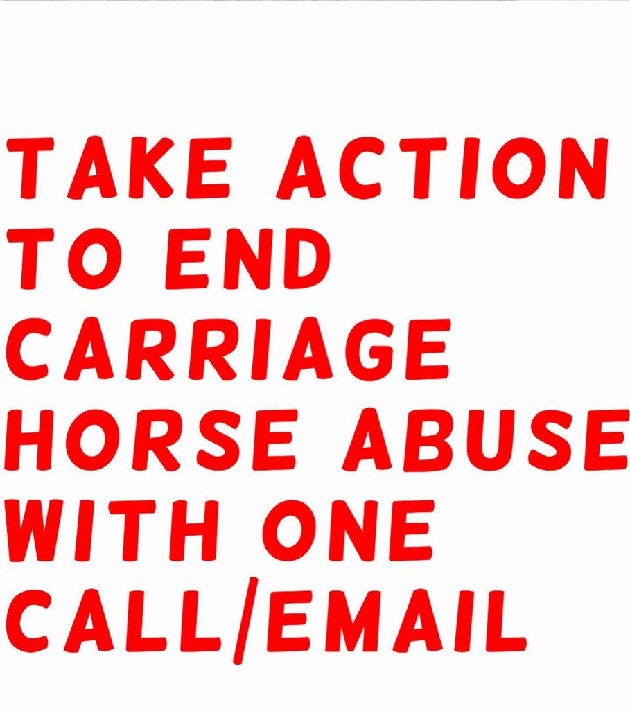 Supermodel Bella Hadid pleads for donations NYC carriage horses on social media, saying Take action to end carriage horse abuse with one call/email. 