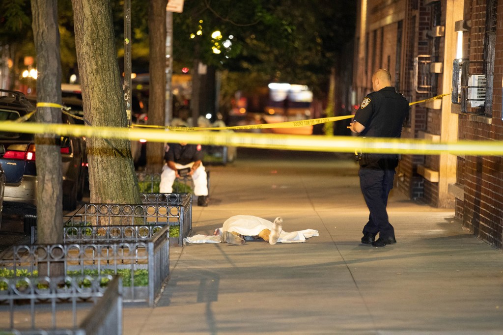 The 69-year-old victim, who cops say was terminally ill and suicidal, plunged from the East Village building around 11:45 p.m. Wednesday.