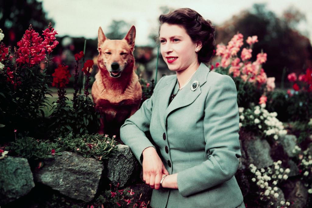 Queen Elizabeth II of England at Balmoral Castle with one of her corgis in September 1952.