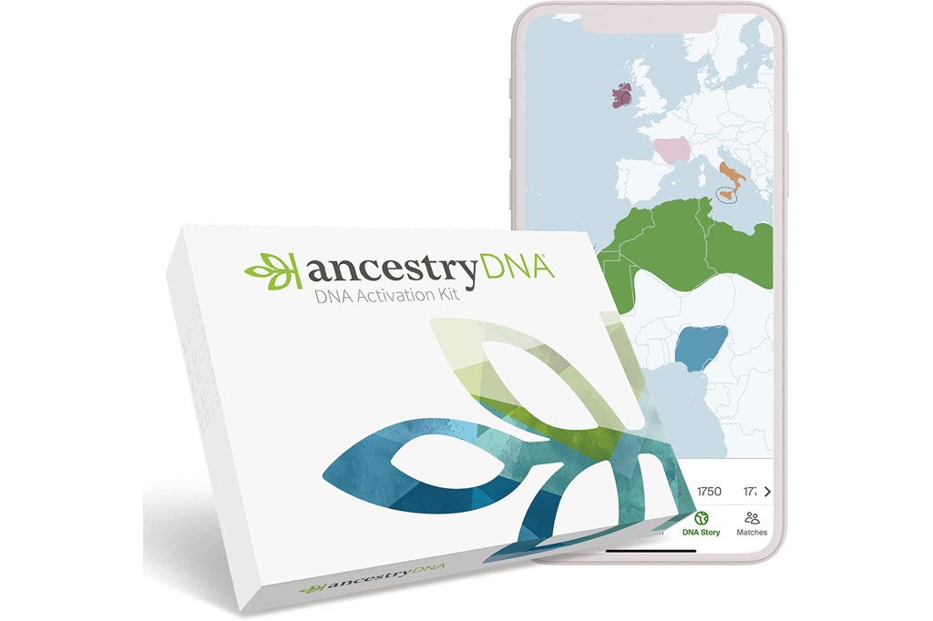 Ancestry DNA copy