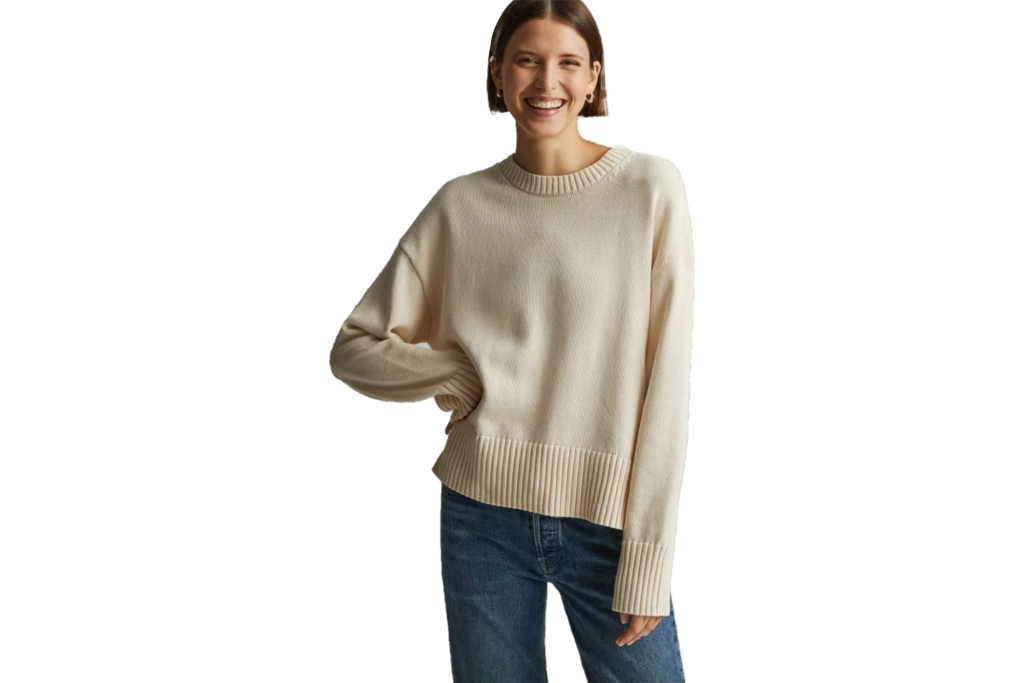 Everlane The Organic Cotton Crew Sweater