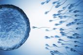 Sperm image