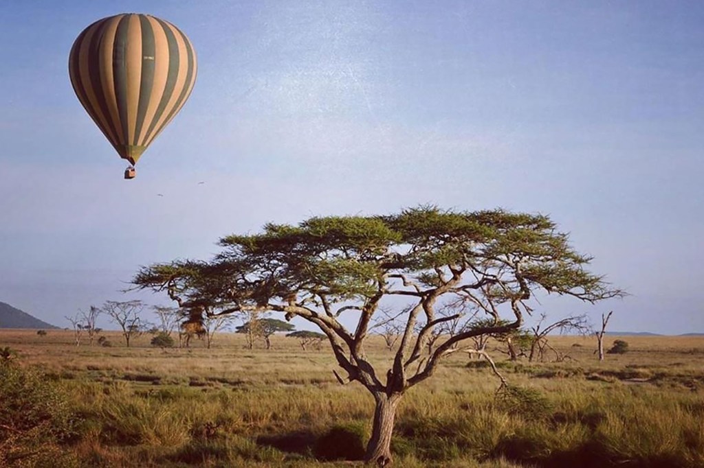 A hot air balloon over a safari 