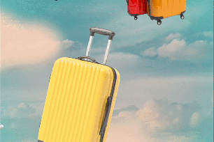 A suitcase gif