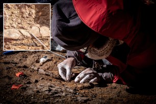 Main image is a man working at the area where scientists discovered megaraptor fossils at 'Guido' hill in the Chilean Patagonia area; Inset is a fossil at the area where scientists discovered megaraptor fossils at 'Guido' hill in the Chilean Patagonia area.
