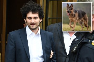 Sam Bankman-Fried's family bought him a 75-pound German shepherd who is trained to attack on command using a "secret word."