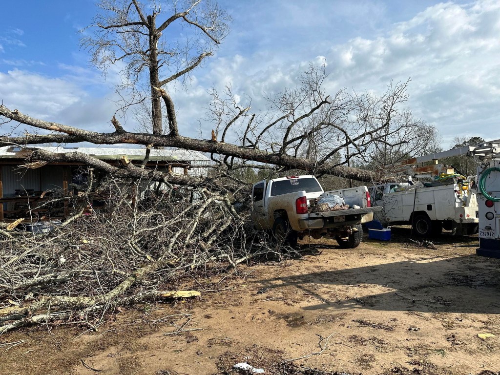 A picture of the aftermath of a tornado in Jackson Parish, Louisiana.