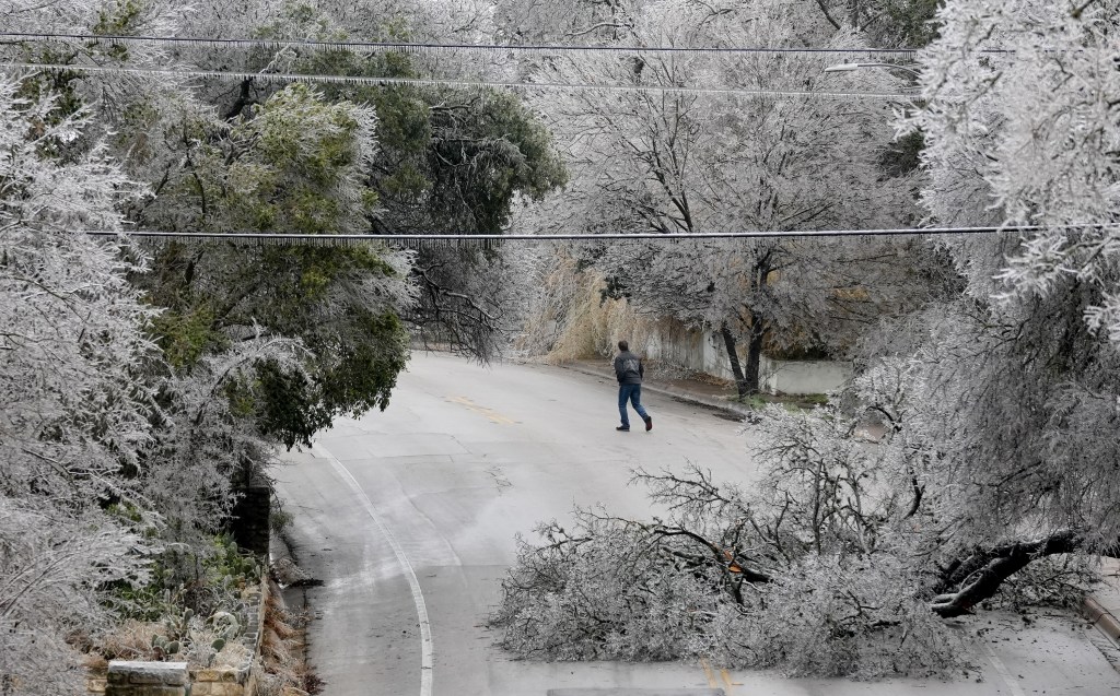 A fallen tree blocks most of Barton Skyway in South Austin, Texas.