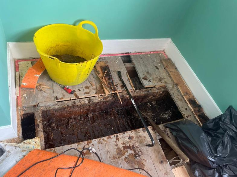 A couple discovered their home had been turned into a giant BEEHIVE - after honey started dripping down the walls. See SWNS story SWSYhoney; Kate Dempsey, 41, initially dismissed the dark patches as damp. But the sweet smell made her reconsider and she pulled up the floorboards at home in Folkestone, Kent. This revealed the "insane" find - huge six-foot pieces of honeycomb and litres of honey. Kate, a diversity and inclusion advisor, said: âWeâd never seen anything like it. The sheer volume of the hive was huge.