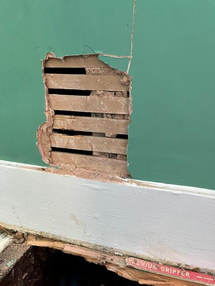 A couple discovered their home had been turned into a giant BEEHIVE - after honey started dripping down the walls. See SWNS story SWSYhoney; Kate Dempsey, 41, initially dismissed the dark patches as damp. But the sweet smell made her reconsider and she pulled up the floorboards at home in Folkestone, Kent. This revealed the "insane" find - huge six-foot pieces of honeycomb and litres of honey. Kate, a diversity and inclusion advisor, said: âWeâd never seen anything like it. The sheer volume of the hive was huge.