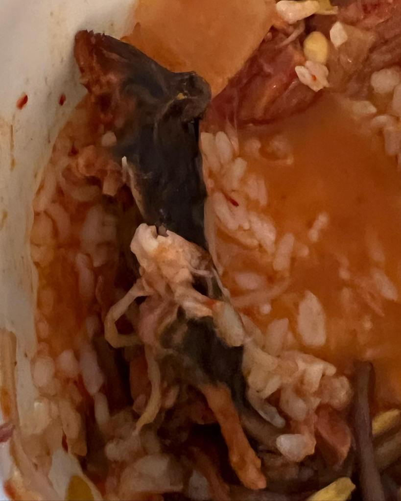 Couple finds dead rat in soup from Gammeeok, NY