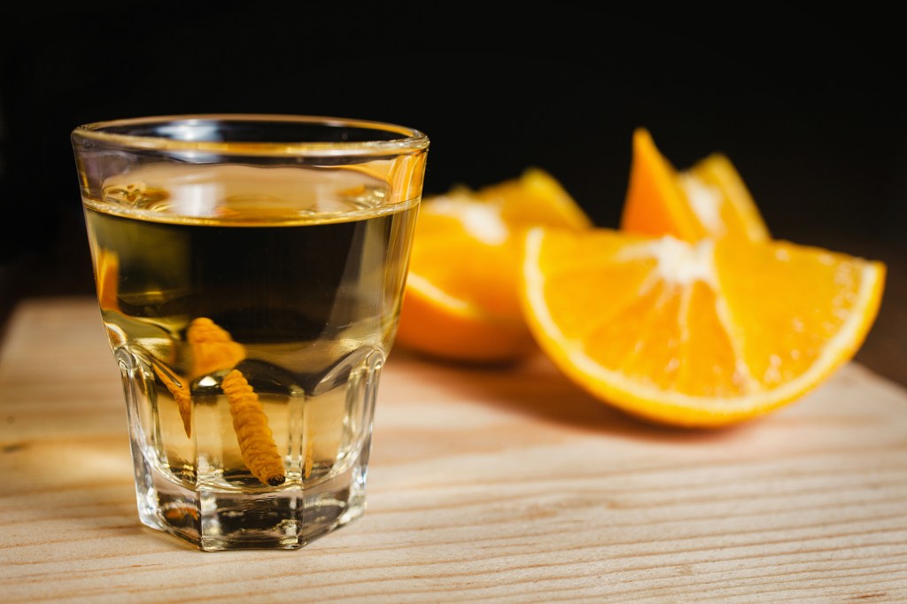 mezcal shot with chili salt and agave worm, mexican drink in mexico.