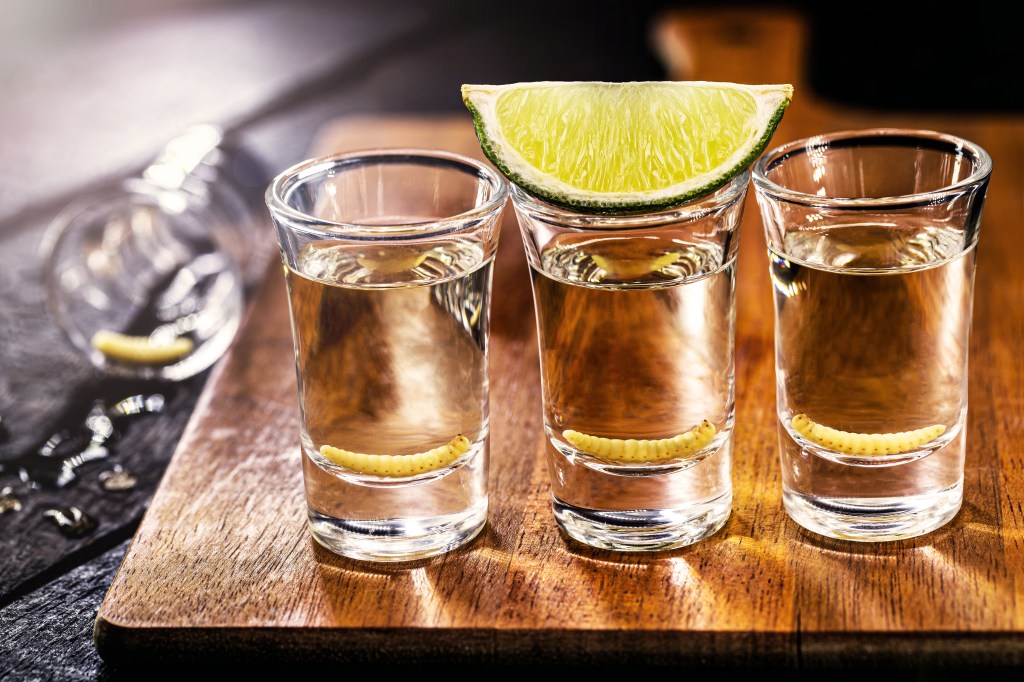 several glass of mezcal (or mezcal), typical and exotic brandy from mexico, with larva in the background and lemon.