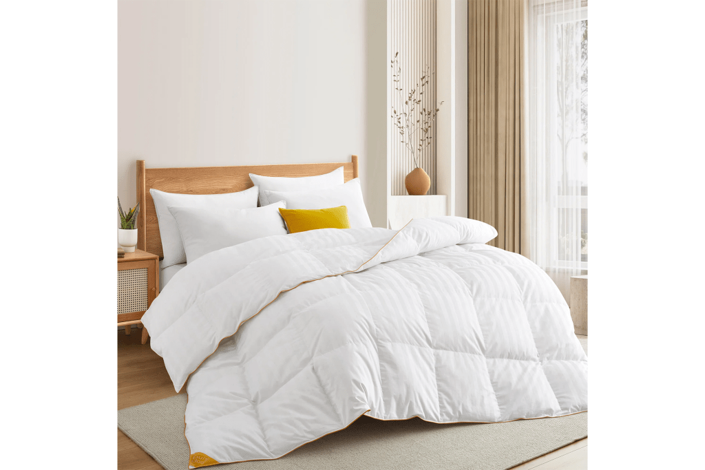 Alwyn Home All Season Goose Down Comforter