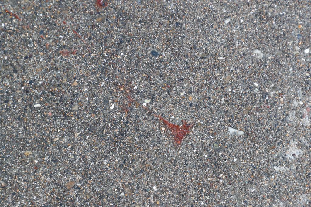 Blood on the sidewalk at the Rincon Hill neighborhood crime scene.