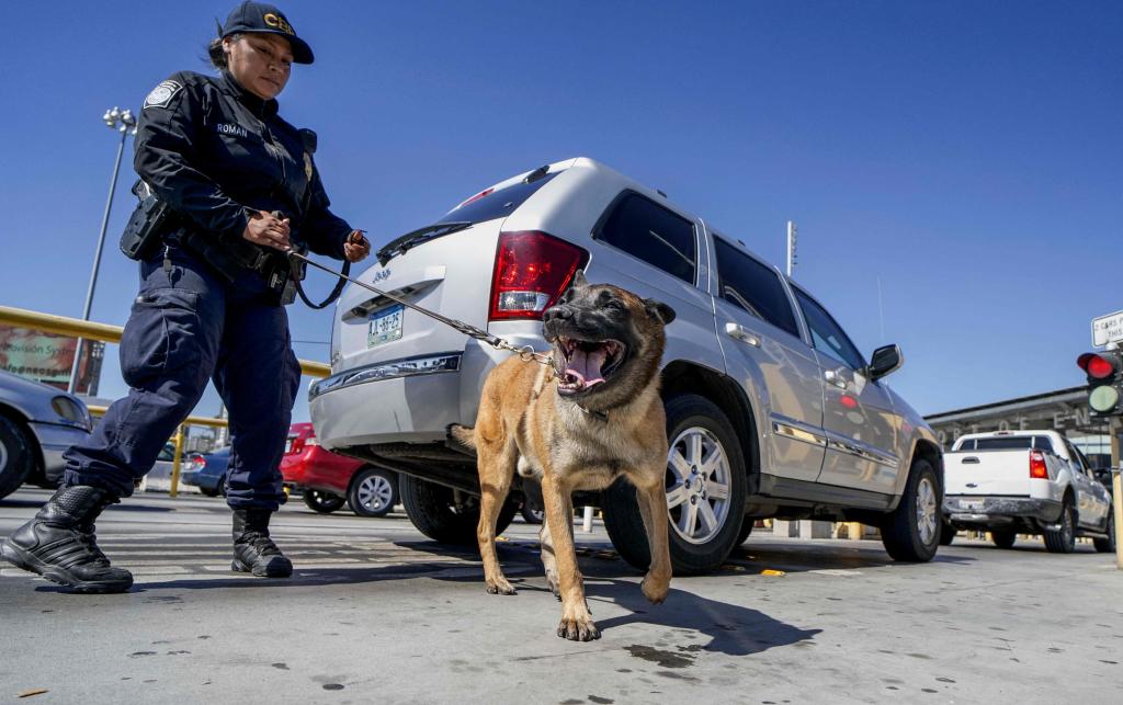 A US Customs and Border Protection canine team checks automobiles for contraband in the line to enter the United States.