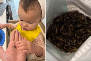 In a personal essay for Insider, food writer Tiffany Leigh revealed that she feeds her 18-month-old daughter crickets as a source of protein — claiming it saves her hundreds on grocery bills.