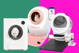 Best Automatic Litter Boxes Review