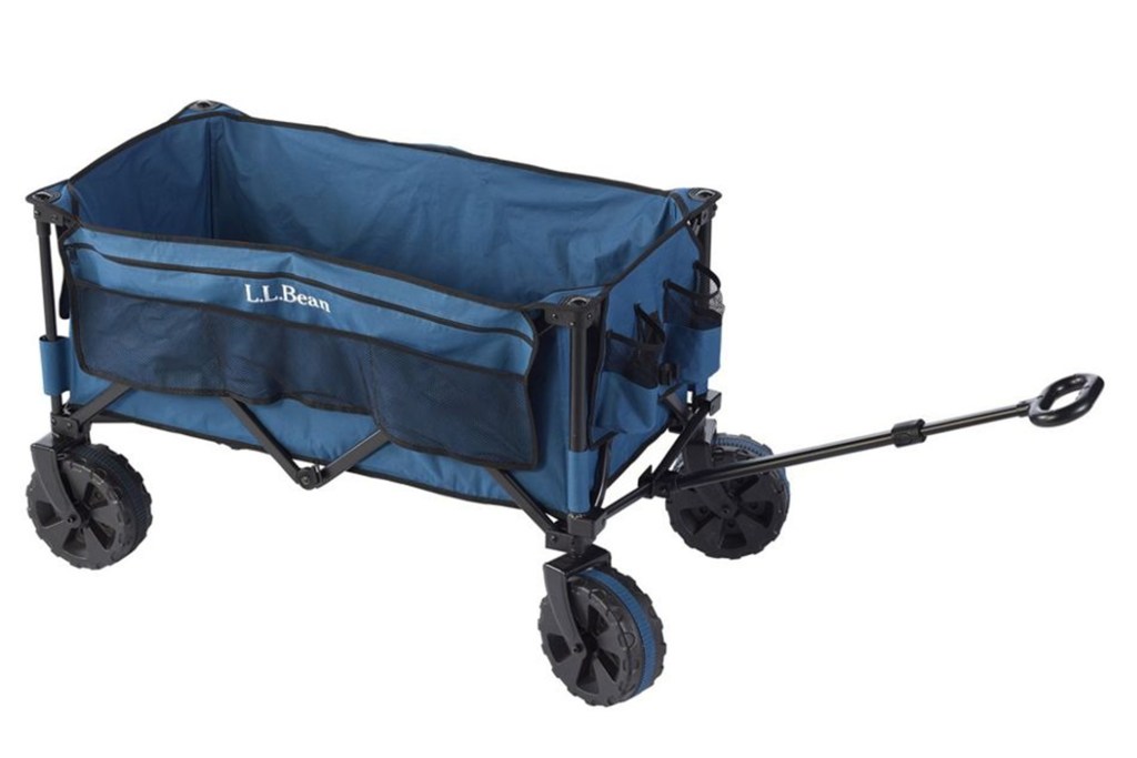 blue and black collapsible cart