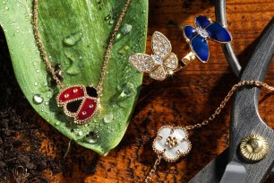 Van Cleef and Arpels still life