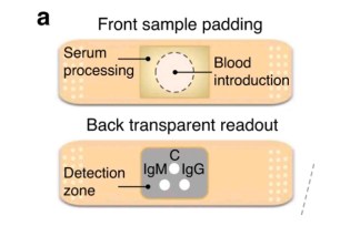 image of an adhesive bandage with a dot pattern on the pad of the bandage