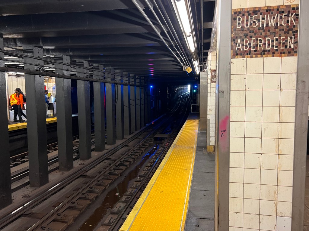 Subway surfing fatal.