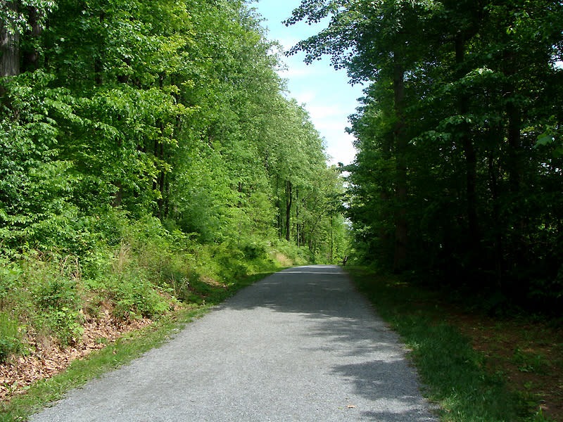 The Ma and Pa Trail, in Bel Air Morin was found dead on after going missing.