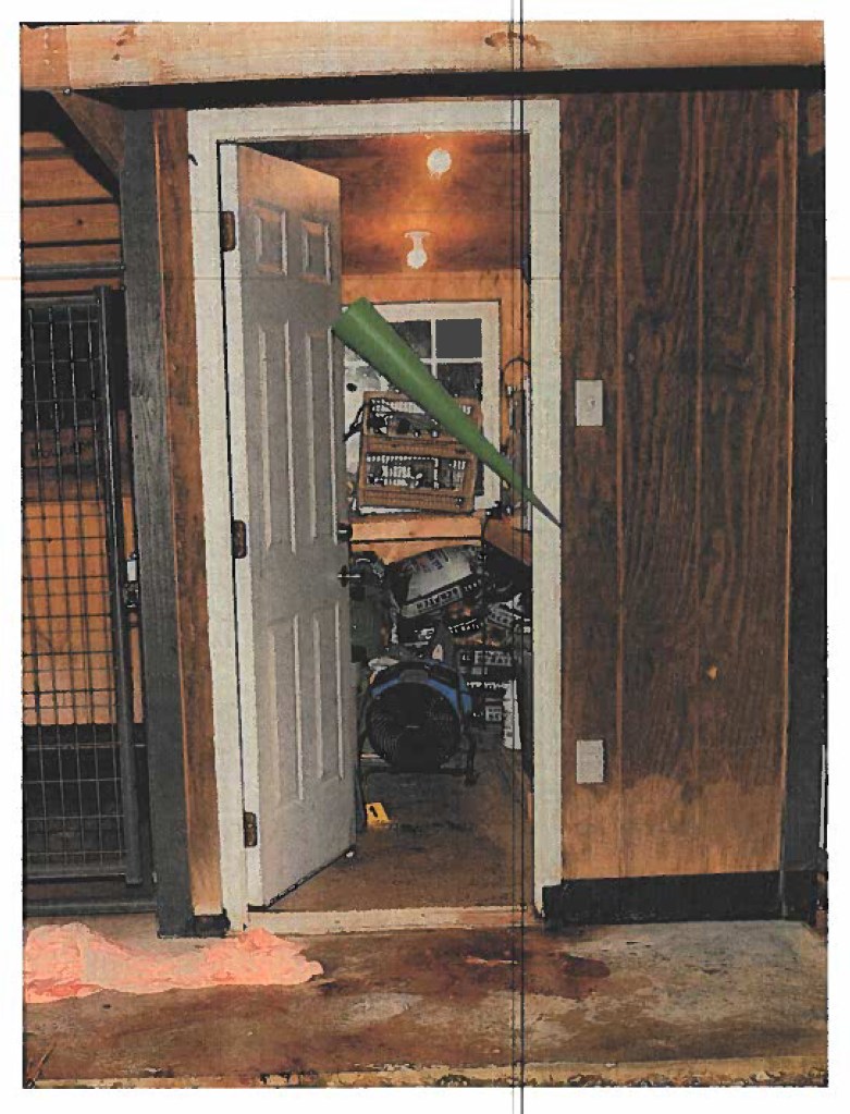 This was the bloody aftermath of Maggie and Paul's deaths in the kennels, which a jury agreed was evidence that Alex Murdaugh had committed the murders.