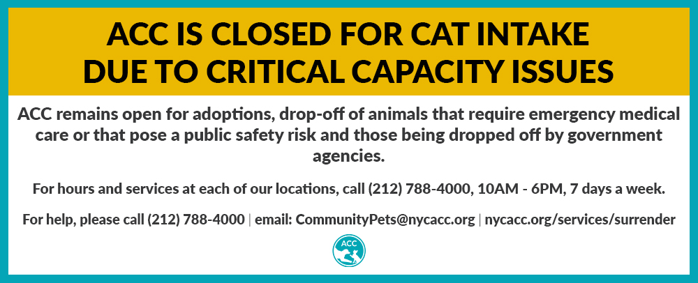 Animal Care Centers of NYC's critical capacity announcement.