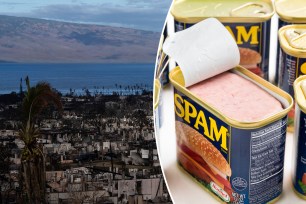 Spam is sending food to Hawaii following the devastating bushfires.